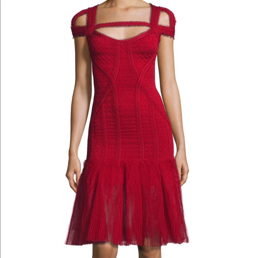 Herve Leger